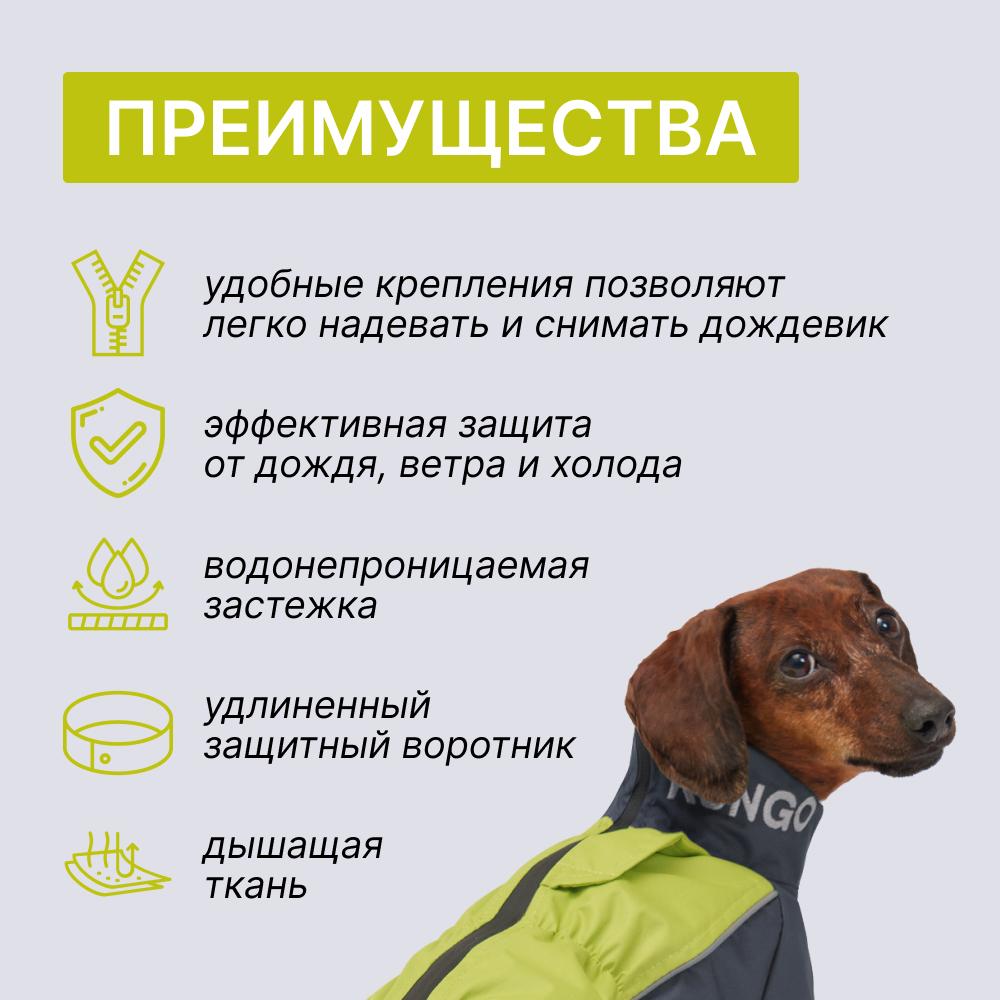 https://storage.yandexcloud.net/pim-core/396730.jpeg