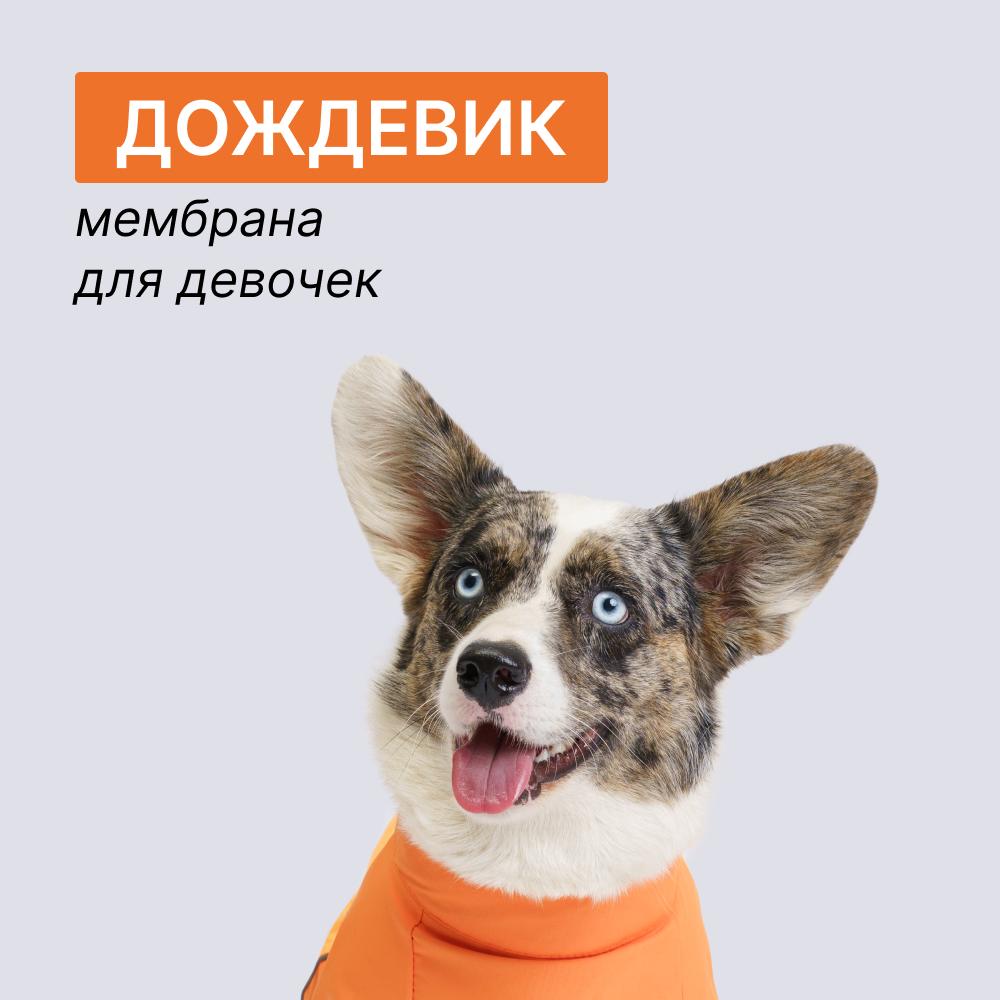 https://storage.yandexcloud.net/pim-core/397011.jpeg