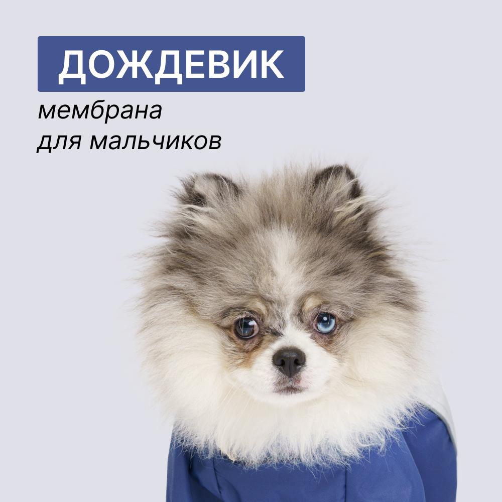 https://storage.yandexcloud.net/pim-core/397066.jpeg