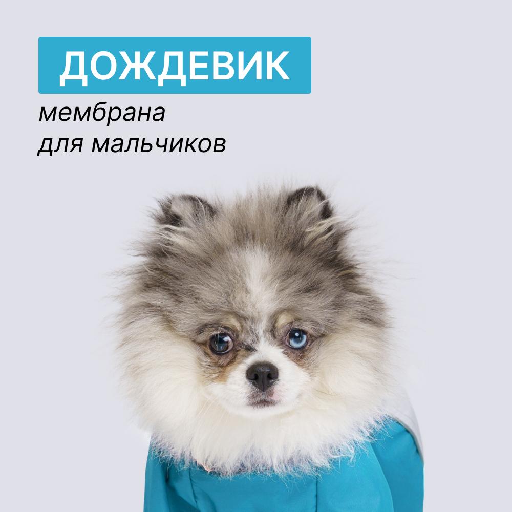 https://storage.yandexcloud.net/pim-core/397153.jpeg