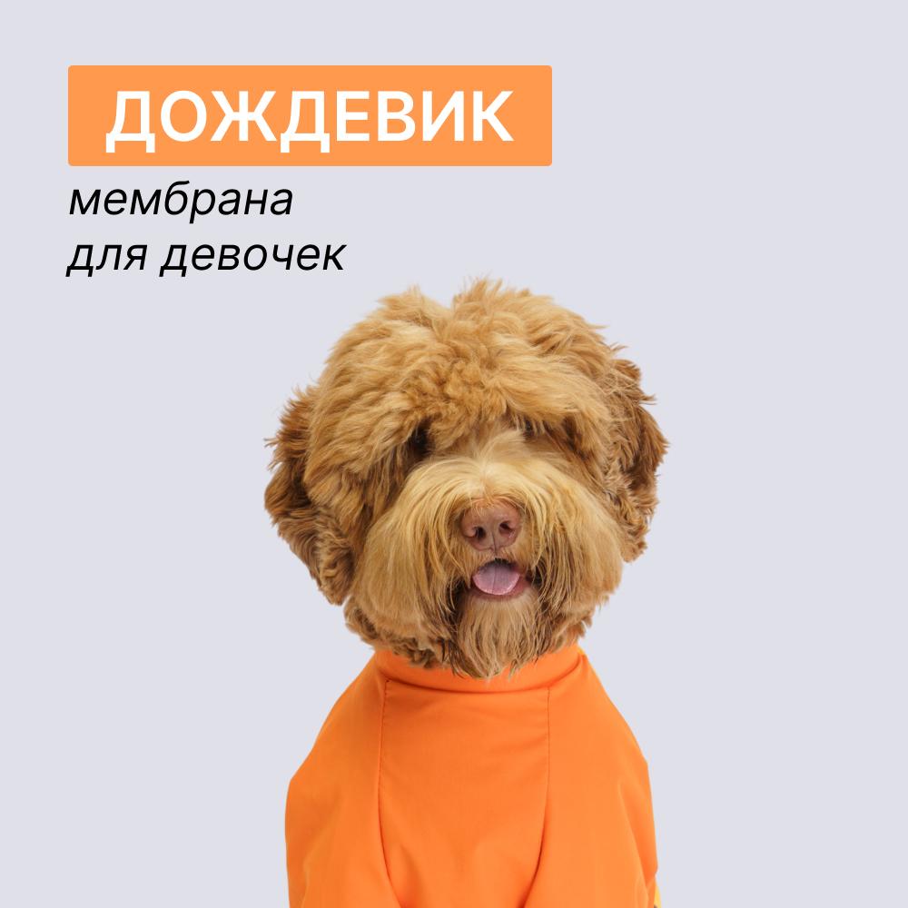 https://storage.yandexcloud.net/pim-core/397260.jpeg