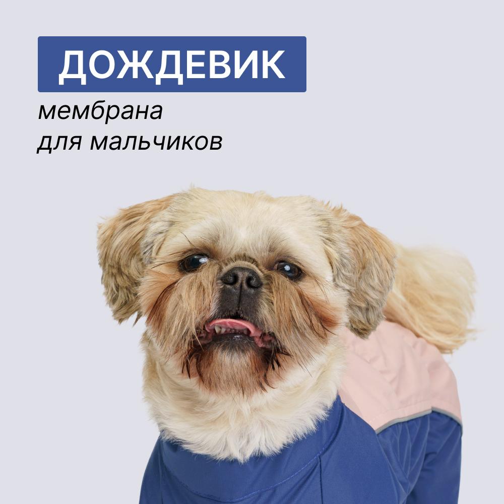 https://storage.yandexcloud.net/pim-core/397276.jpeg