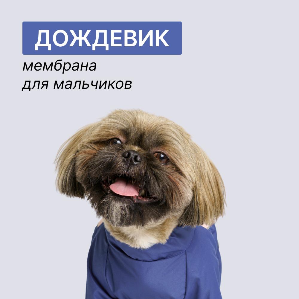 https://storage.yandexcloud.net/pim-core/397430.jpeg