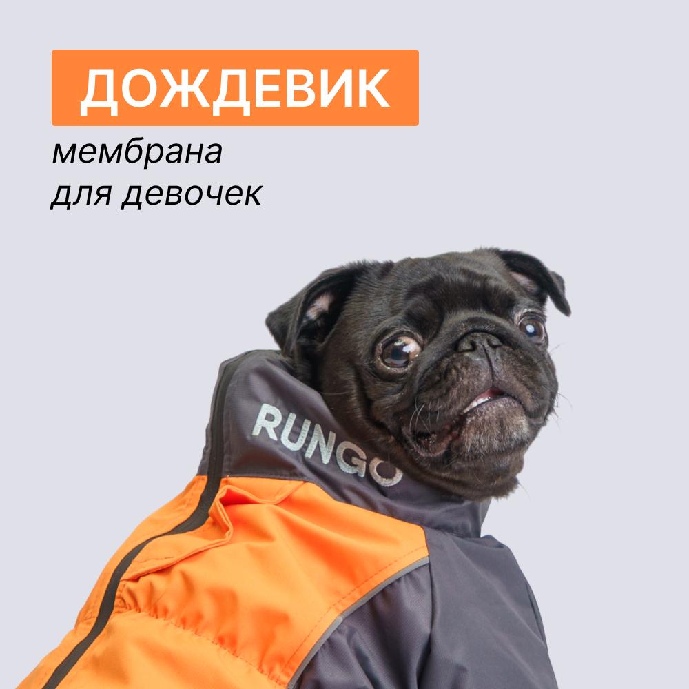 https://storage.yandexcloud.net/pim-core/398424.jpeg