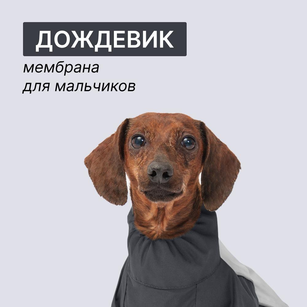 https://storage.yandexcloud.net/pim-core/400569.jpeg