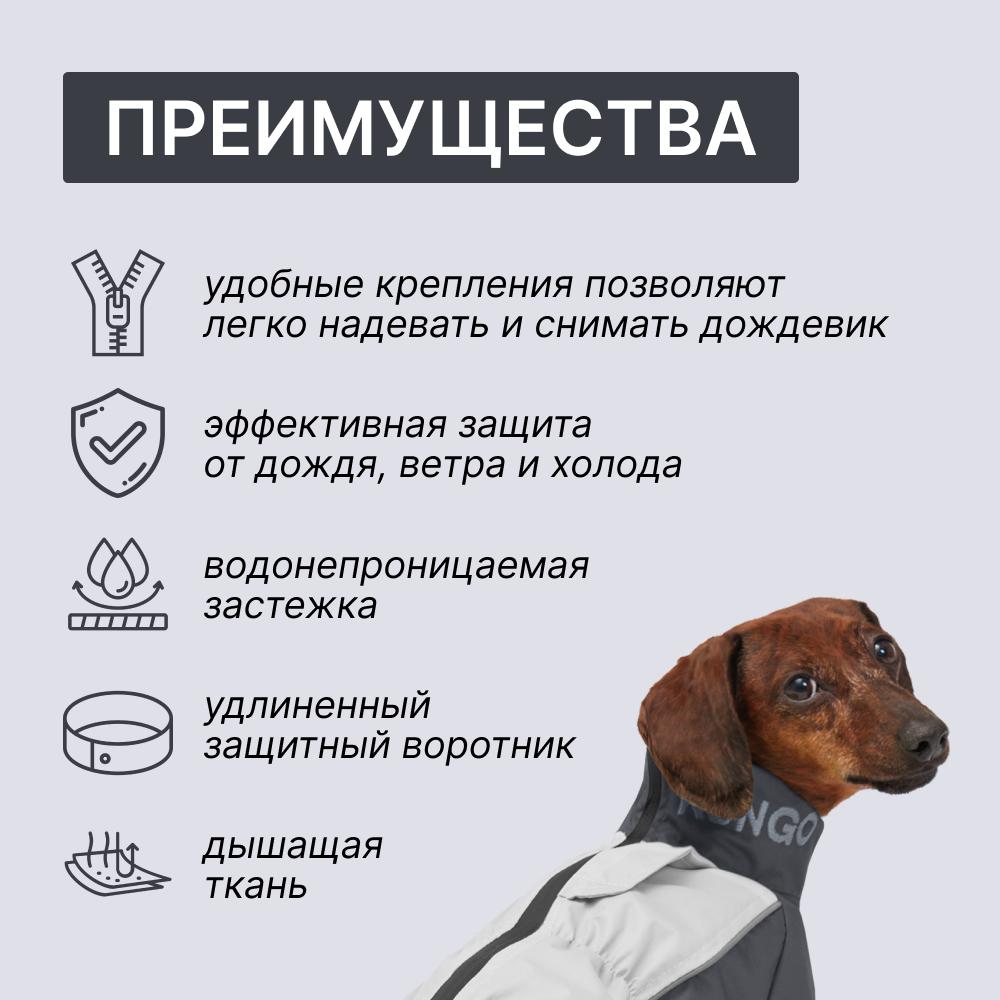 https://storage.yandexcloud.net/pim-core/400570.jpeg