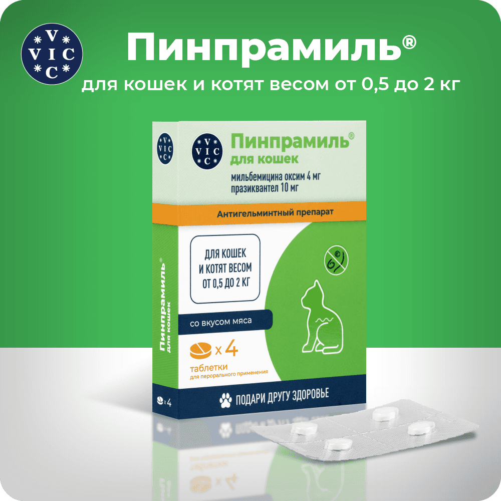 https://storage.yandexcloud.net/pim-core/402657.png