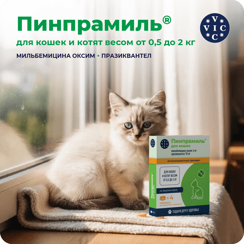 https://storage.yandexcloud.net/pim-core/402658.png