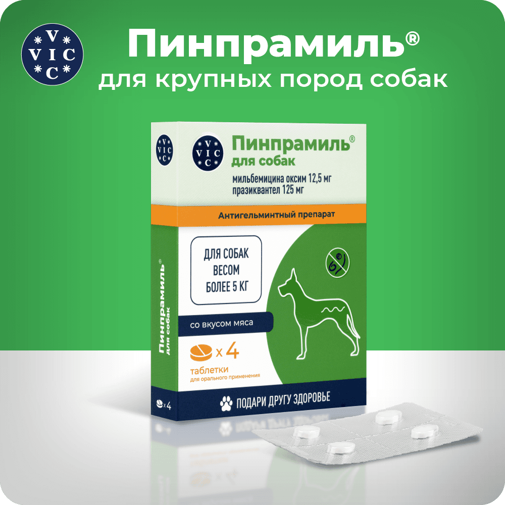 https://storage.yandexcloud.net/pim-core/402663.png