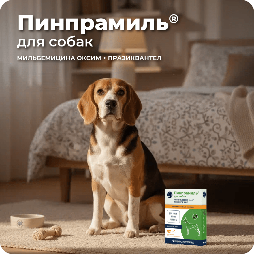 https://storage.yandexcloud.net/pim-core/402664.png