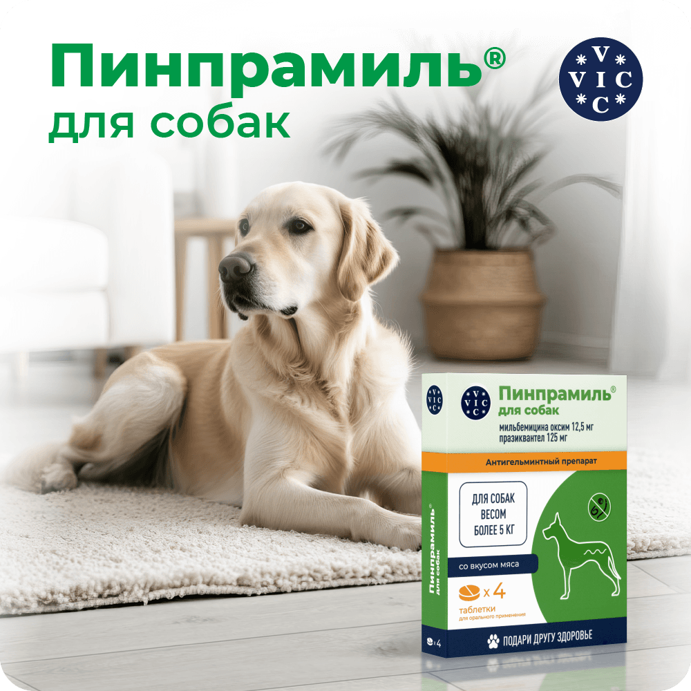 https://storage.yandexcloud.net/pim-core/402665.png