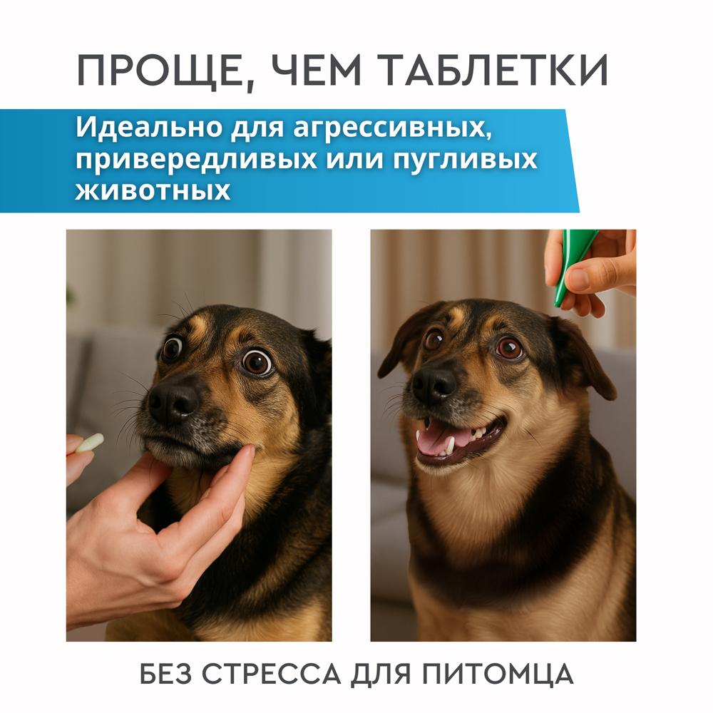https://storage.yandexcloud.net/pim-core/404629.jpeg