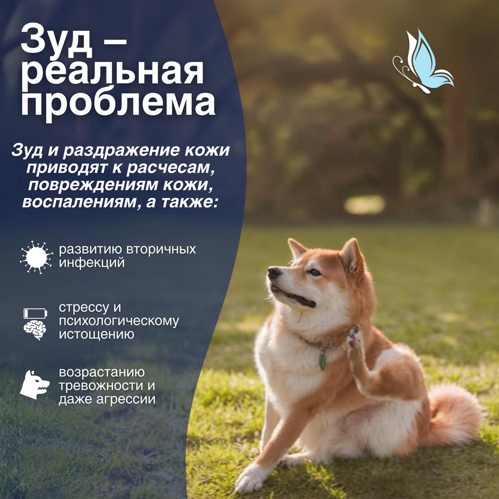 https://storage.yandexcloud.net/pim-core/404644.jpeg
