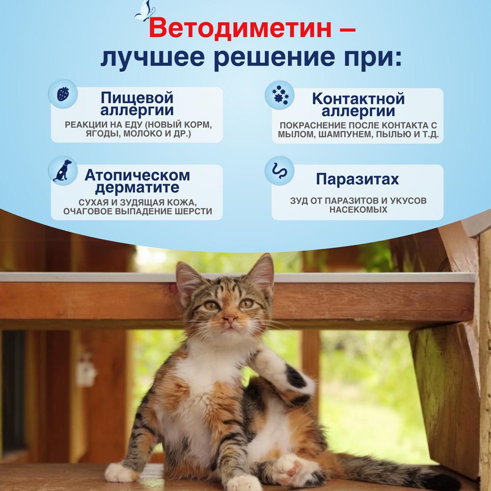 https://storage.yandexcloud.net/pim-core/404646.jpeg