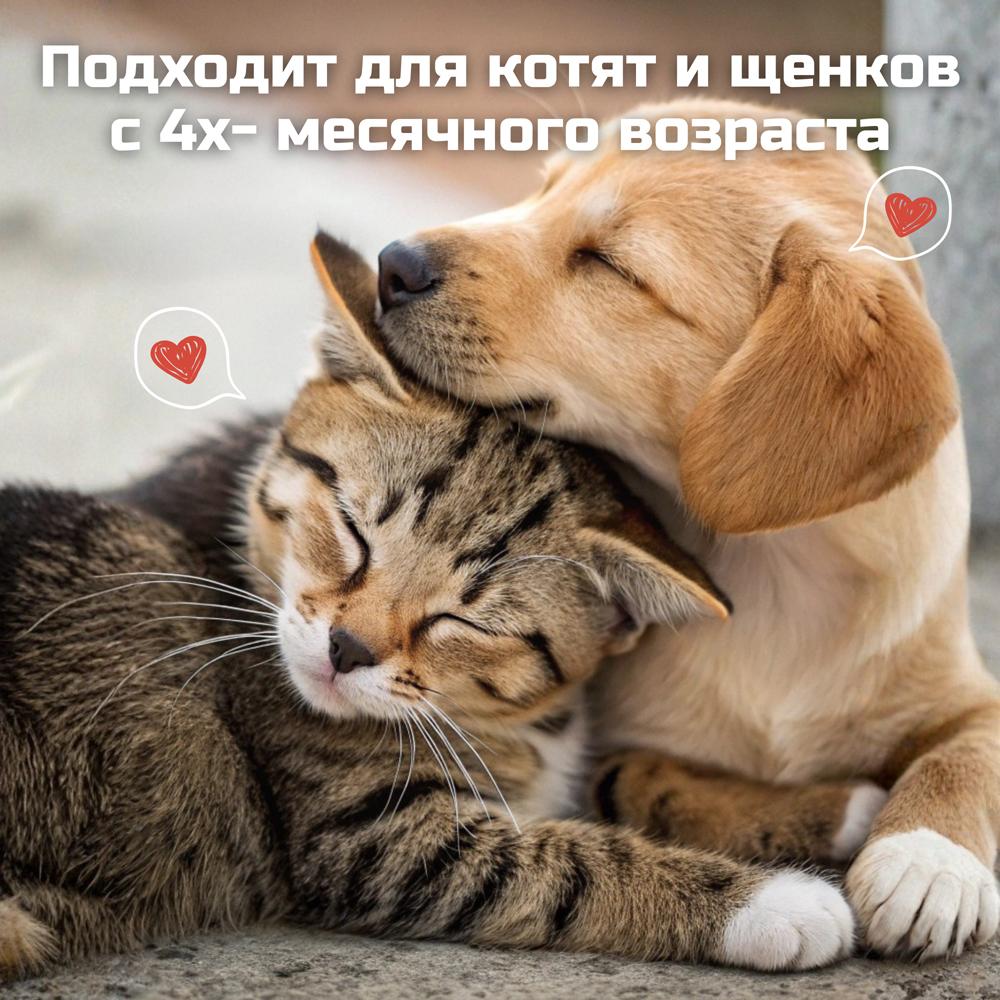 https://storage.yandexcloud.net/pim-core/404648.jpeg