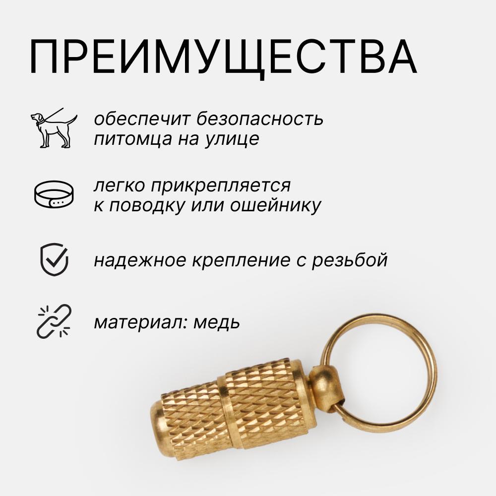 https://storage.yandexcloud.net/pim-core/406566.jpeg