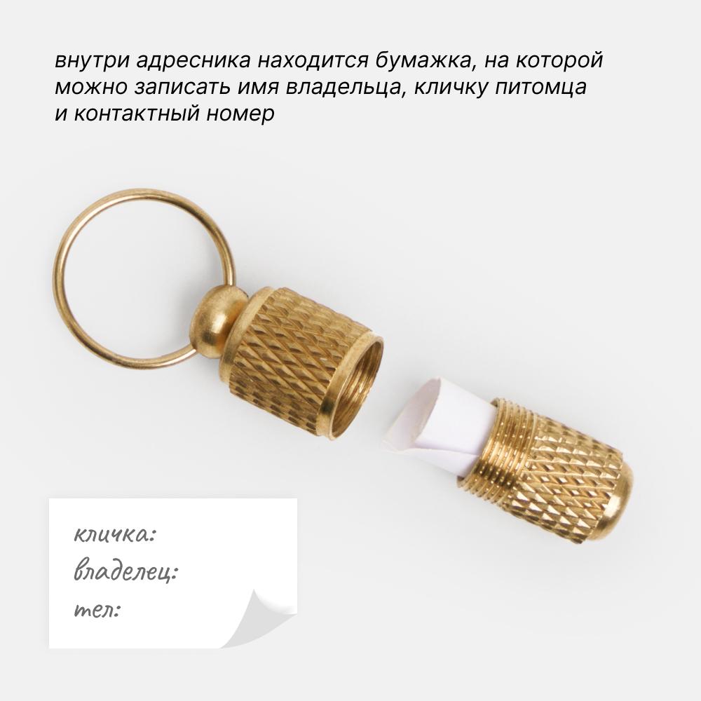 https://storage.yandexcloud.net/pim-core/406567.jpeg