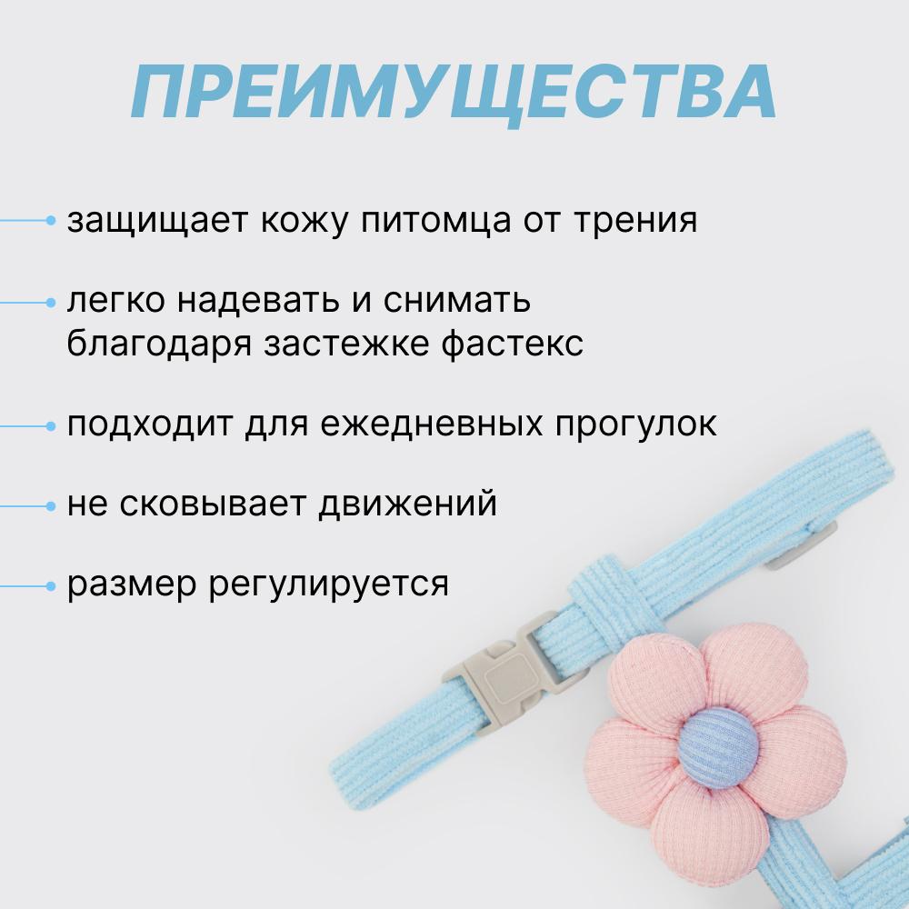 https://storage.yandexcloud.net/pim-core/406969.jpeg