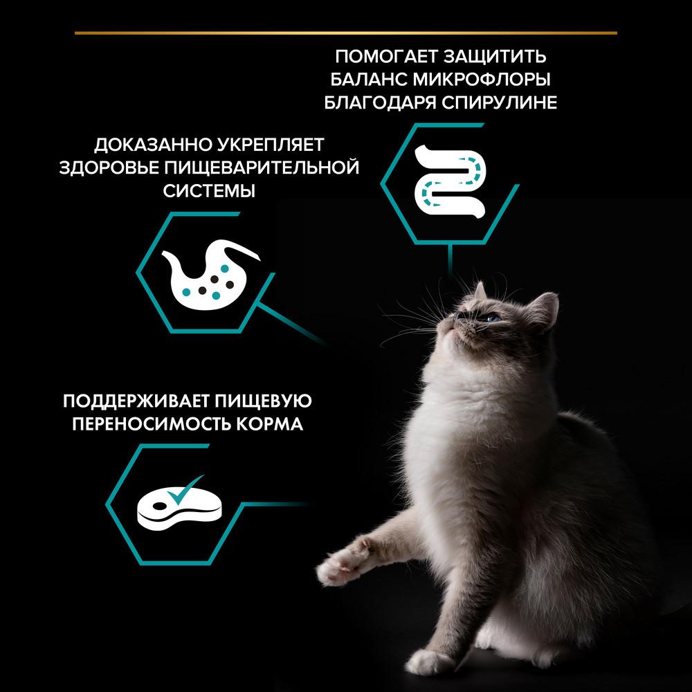 https://storage.yandexcloud.net/pim-core/407233.jpeg