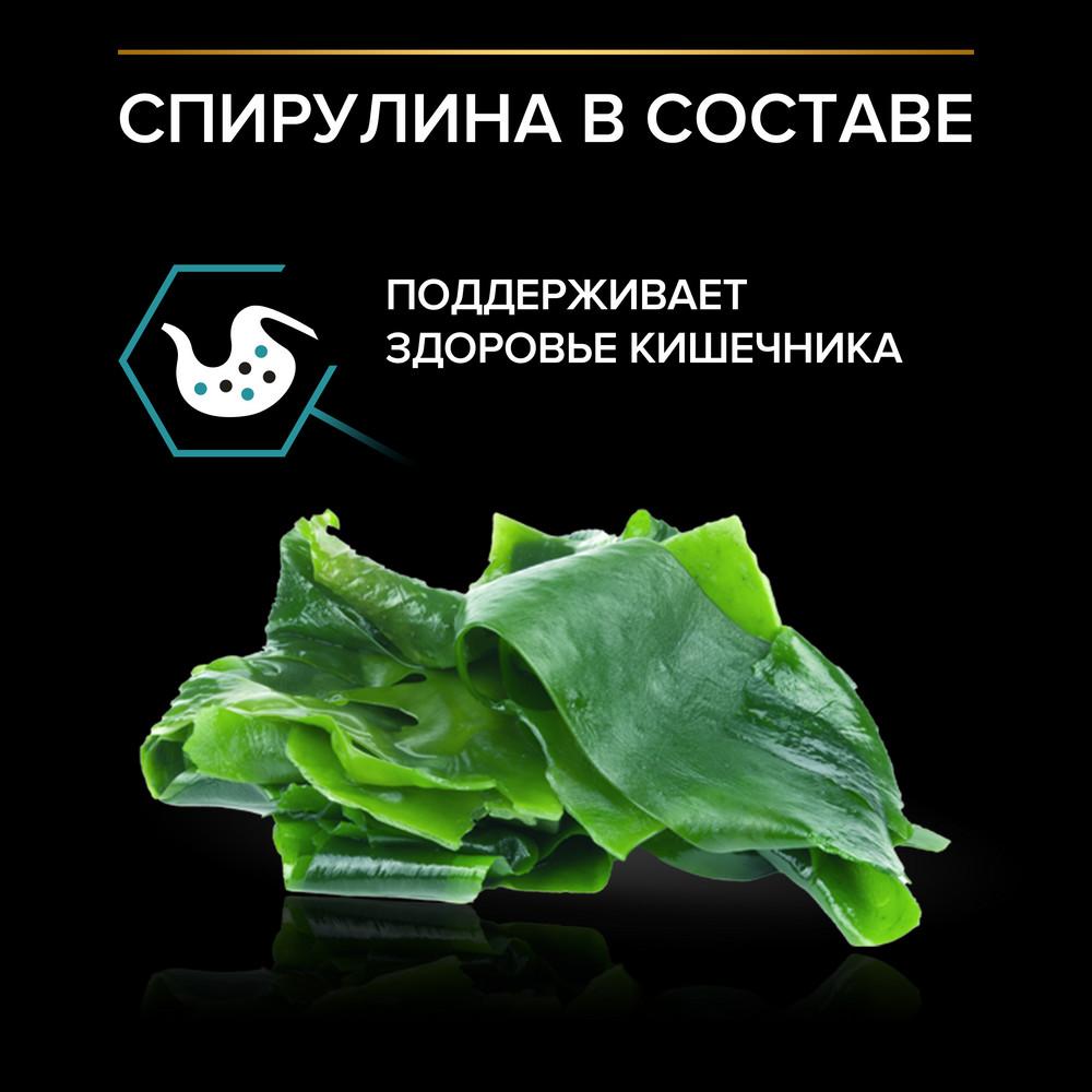 https://storage.yandexcloud.net/pim-core/407234.jpeg