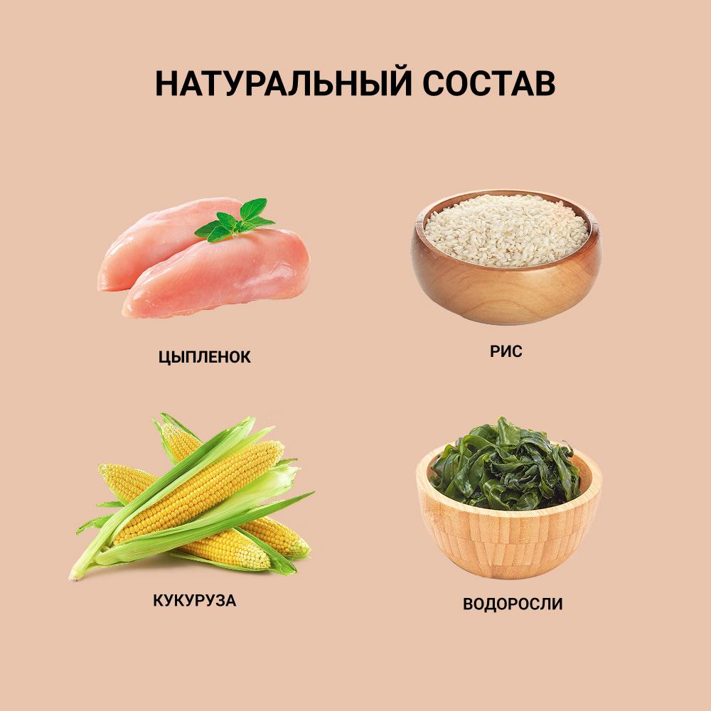 https://storage.yandexcloud.net/pim-core/409035.jpeg