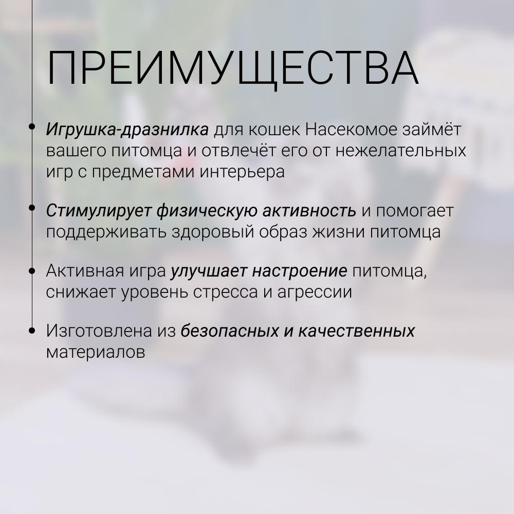 https://storage.yandexcloud.net/pim-core/418360.jpeg