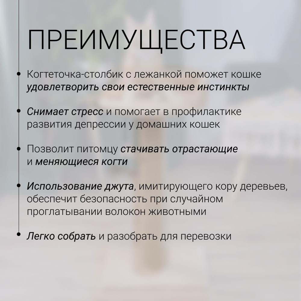 https://storage.yandexcloud.net/pim-core/418625.jpeg