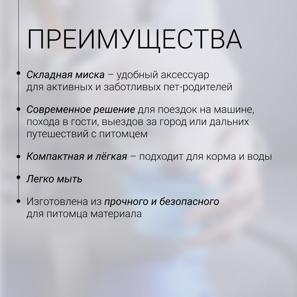 https://storage.yandexcloud.net/pim-core/420323.jpeg
