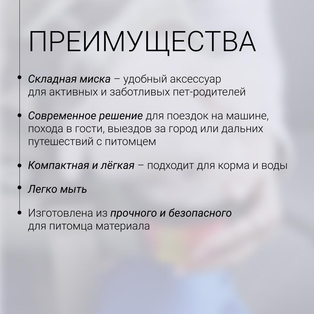 https://storage.yandexcloud.net/pim-core/420330.jpeg