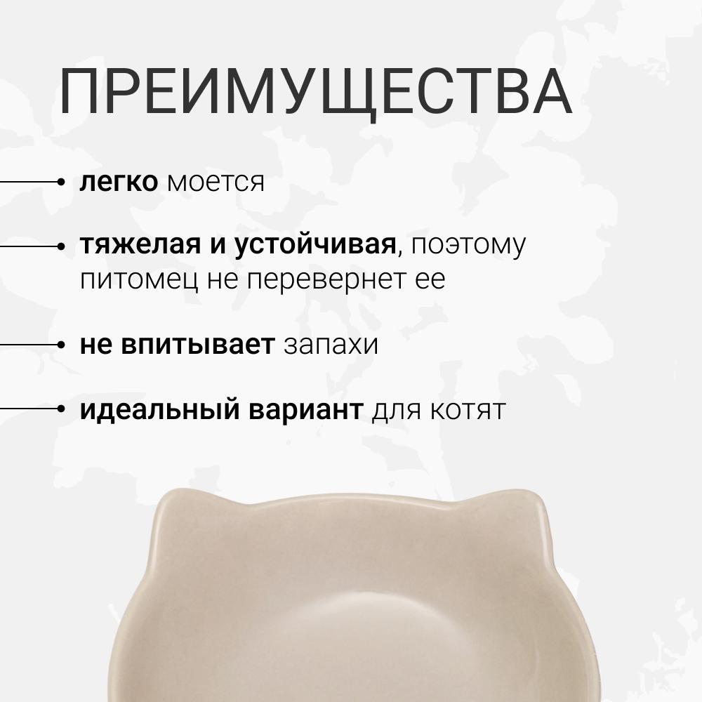 https://storage.yandexcloud.net/pim-core/420464.jpeg