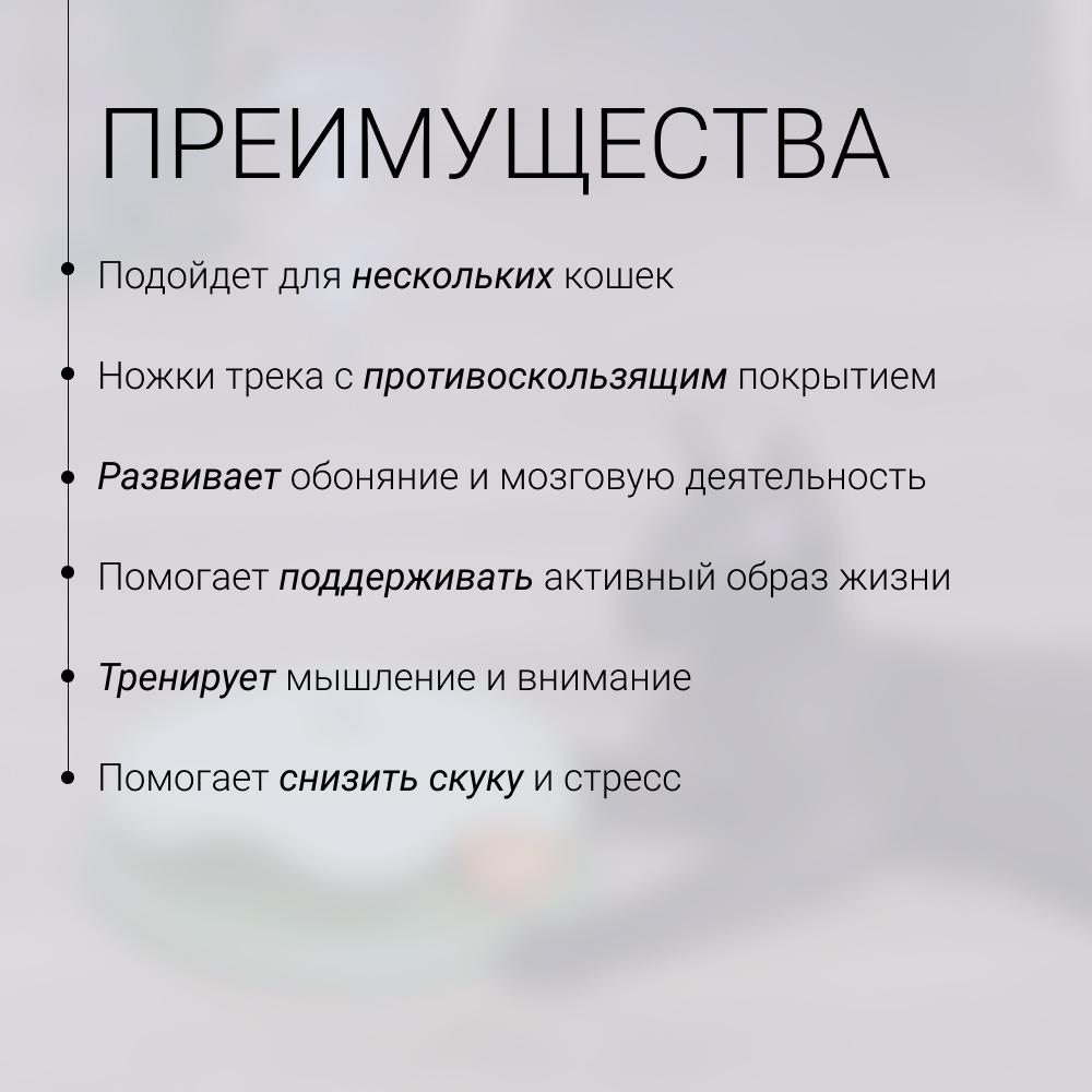 https://storage.yandexcloud.net/pim-core/421322.jpeg