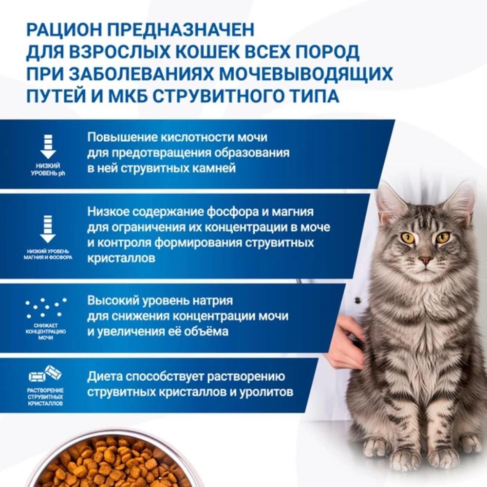 https://storage.yandexcloud.net/pim-core/423110.jpeg