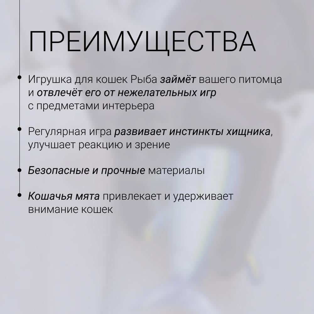 https://storage.yandexcloud.net/pim-core/423232.jpeg
