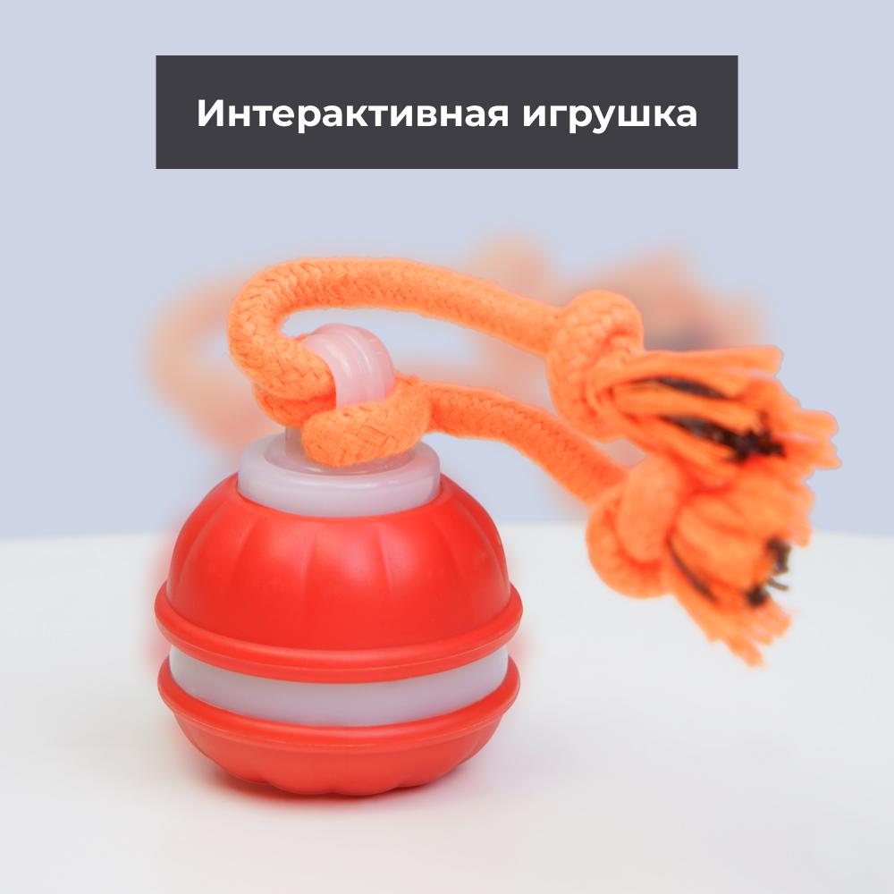 https://storage.yandexcloud.net/pim-core/423253.jpeg