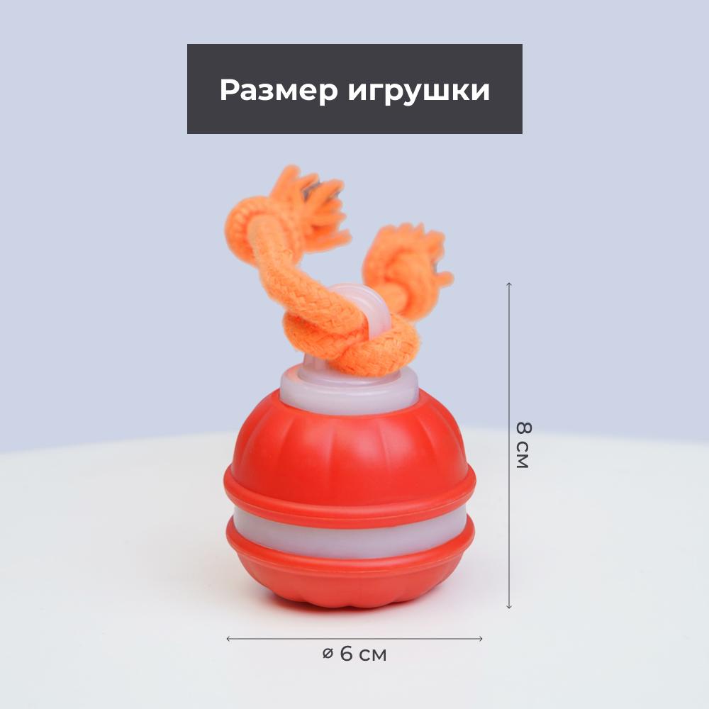 https://storage.yandexcloud.net/pim-core/423255.jpeg