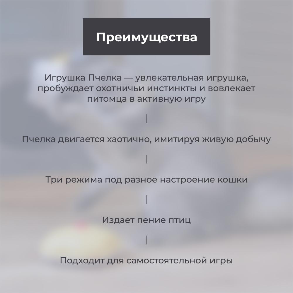 https://storage.yandexcloud.net/pim-core/423264.jpeg