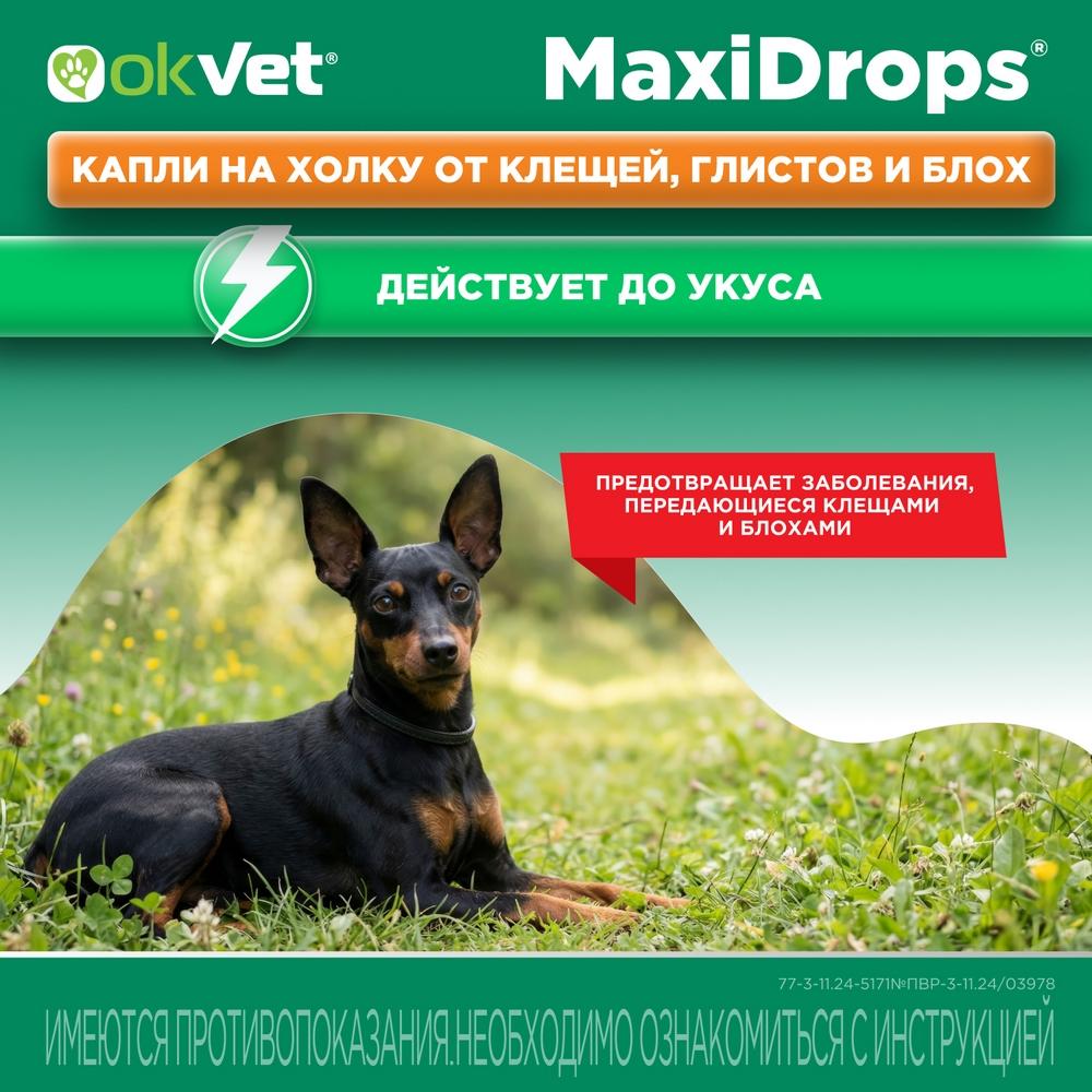 https://storage.yandexcloud.net/pim-core/423796.jpeg