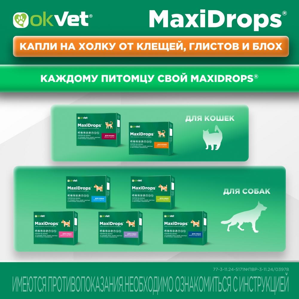 https://storage.yandexcloud.net/pim-core/423809.jpeg