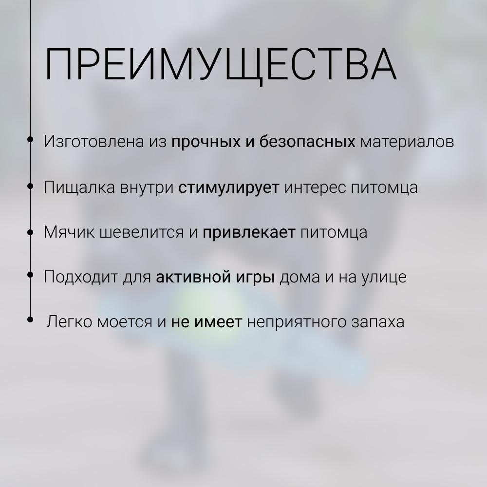 https://storage.yandexcloud.net/pim-core/423836.jpeg