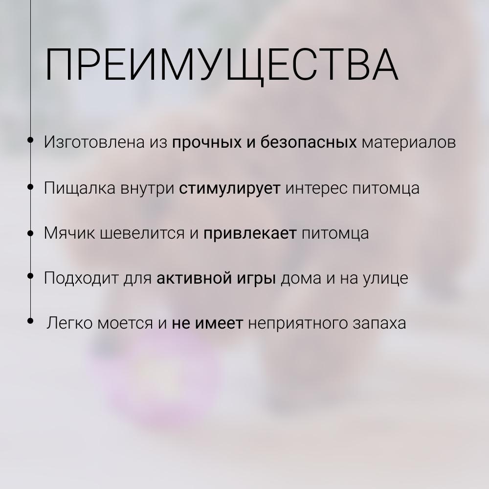 https://storage.yandexcloud.net/pim-core/423843.jpeg