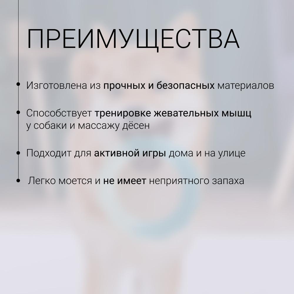 https://storage.yandexcloud.net/pim-core/423850.jpeg