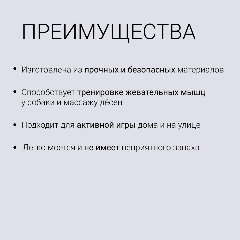 https://storage.yandexcloud.net/pim-core/423868.jpeg