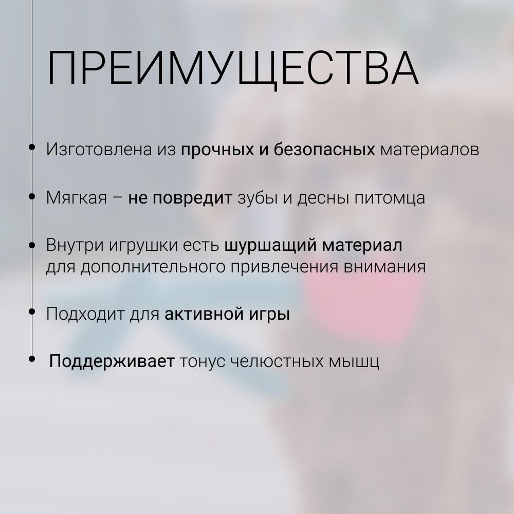 https://storage.yandexcloud.net/pim-core/424378.jpeg