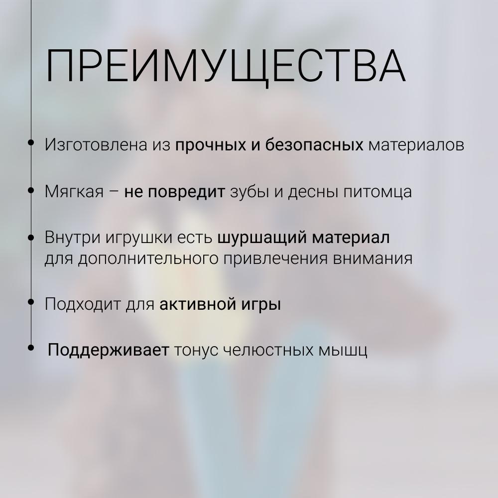 https://storage.yandexcloud.net/pim-core/424379.jpeg