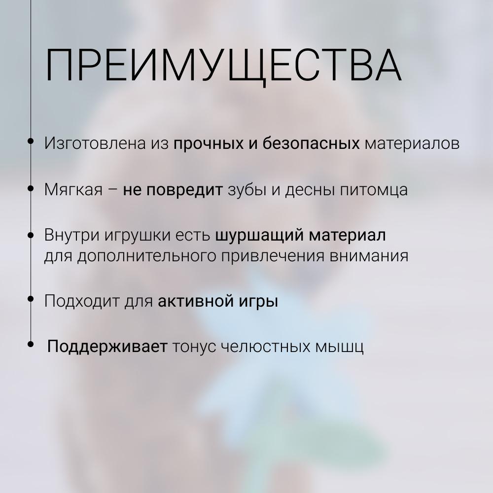 https://storage.yandexcloud.net/pim-core/424381.jpeg