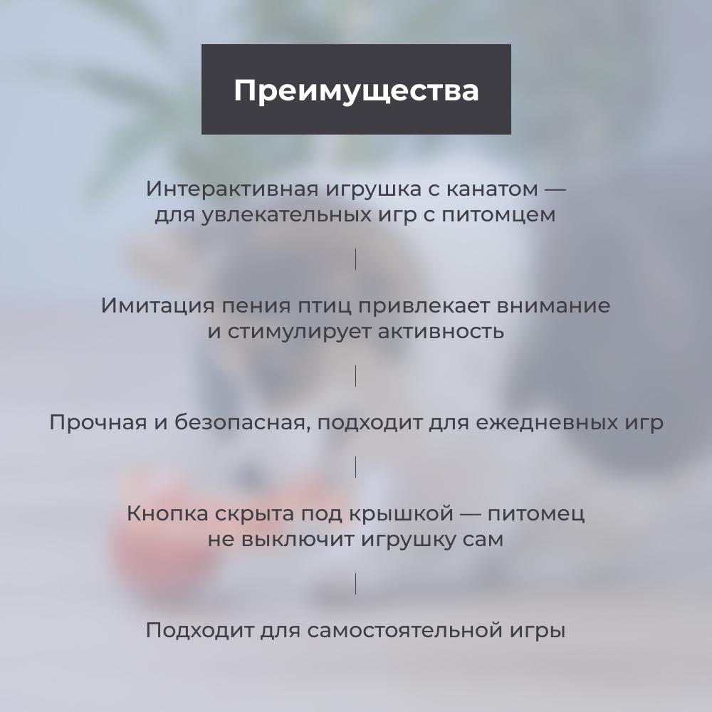 https://storage.yandexcloud.net/pim-core/424389.jpeg