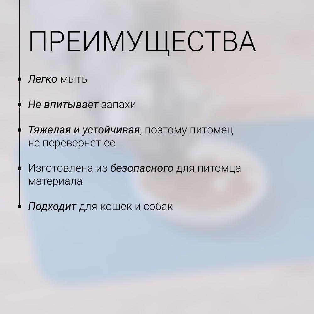 https://storage.yandexcloud.net/pim-core/425137.jpeg