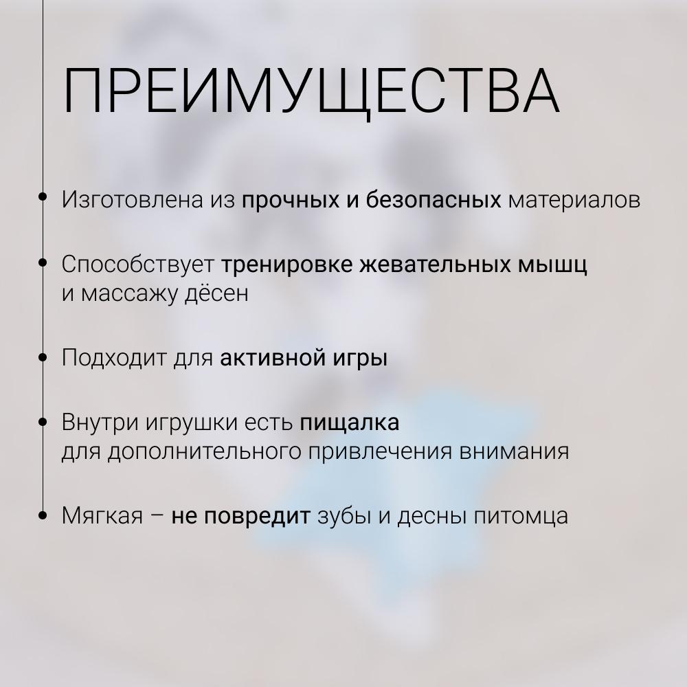 https://storage.yandexcloud.net/pim-core/425882.jpeg