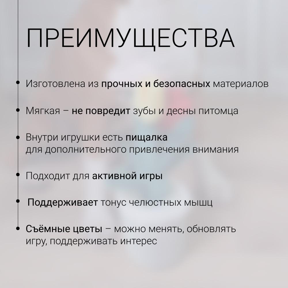 https://storage.yandexcloud.net/pim-core/425922.jpeg