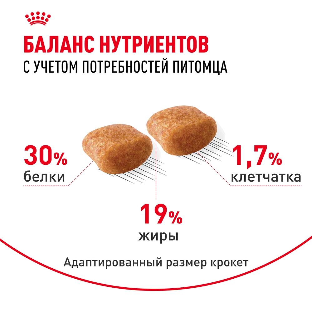 https://storage.yandexcloud.net/pim-core/426517.jpeg